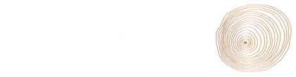 מכון לתבונה
